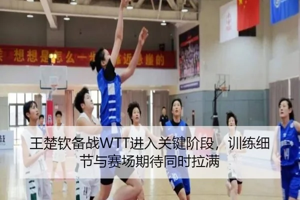 王楚钦备战WTT进入关键阶段，训练细节与赛场期待同时拉满